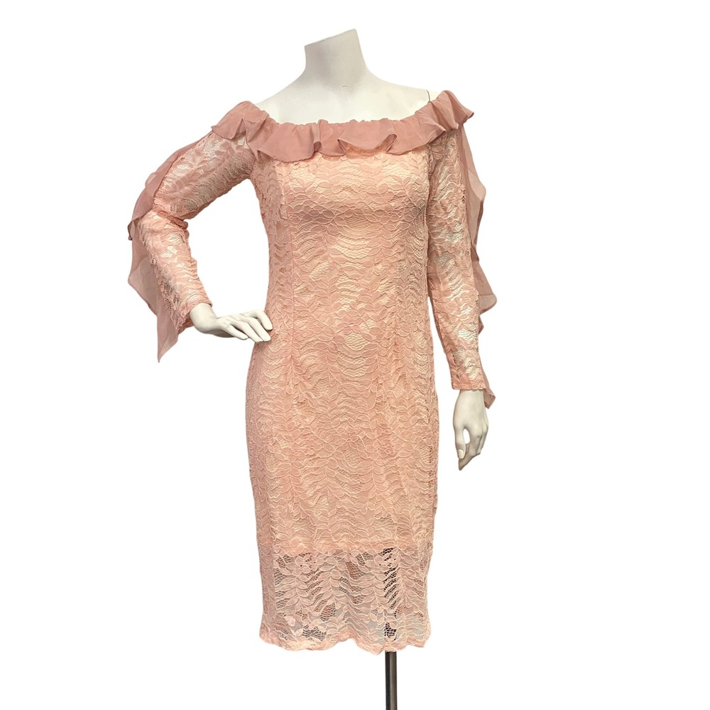 CBR Off Shoulder Peach/Pink Lace Sheer Glam Preppy Feminine Mature Party Dress